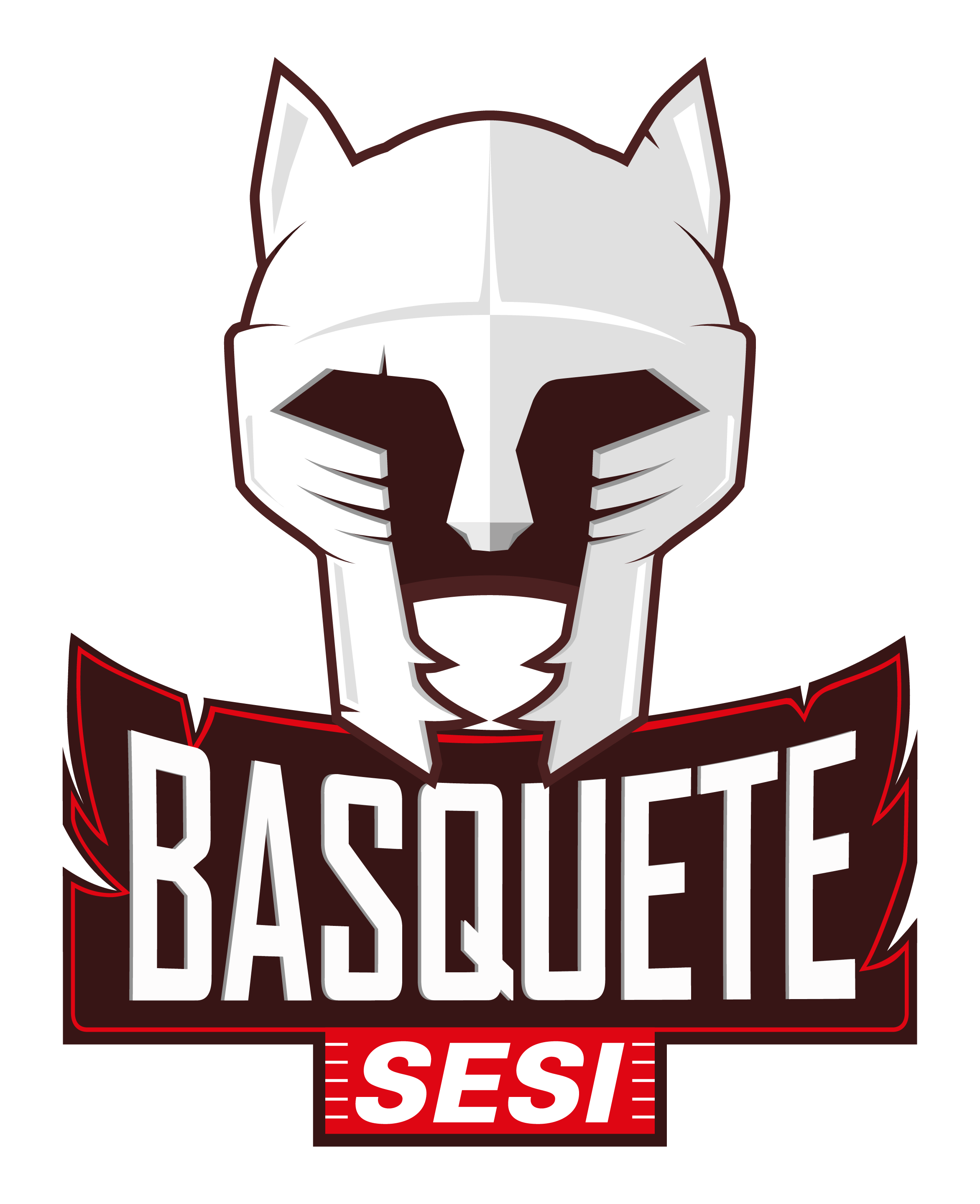 Sampaio Basquete Basketball team in Brazil → Sampaio Basquete match results  and fixtures